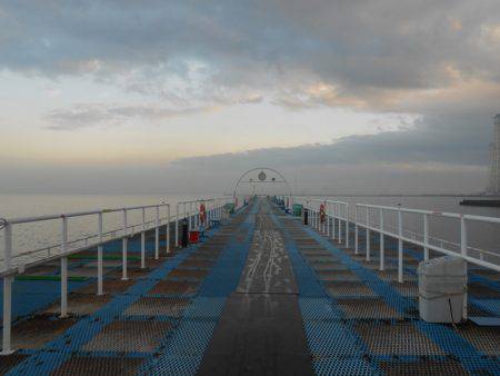 オリジナルメーカー海づり公園(市原市海づり施設) 釣果