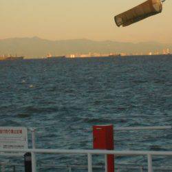 オリジナルメーカー海づり公園(市原市海づり施設) 釣果