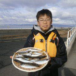 大阪南港海つり公園 釣果