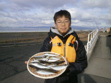 大阪南港海つり公園 釣果