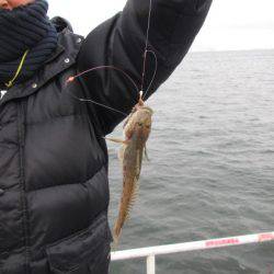 オリジナルメーカー海づり公園(市原市海づり施設) 釣果