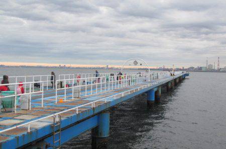 オリジナルメーカー海づり公園(市原市海づり施設) 釣果