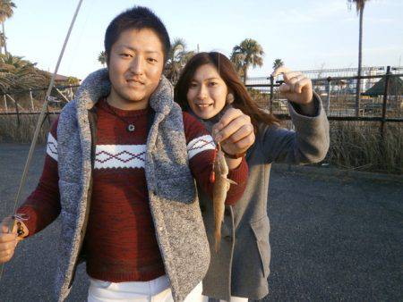 大阪南港海つり公園 釣果