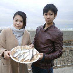 大阪南港海つり公園 釣果