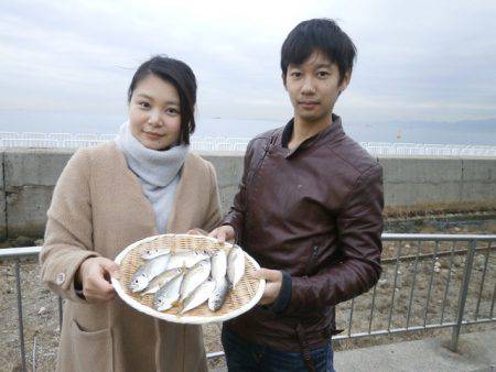 大阪南港海つり公園 釣果