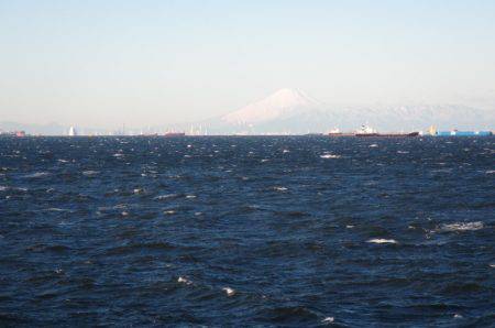 オリジナルメーカー海づり公園(市原市海づり施設) 釣果