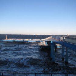 オリジナルメーカー海づり公園(市原市海づり施設) 釣果