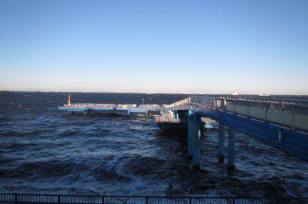 オリジナルメーカー海づり公園(市原市海づり施設) 釣果