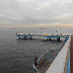 オリジナルメーカー海づり公園(市原市海づり施設) 釣果