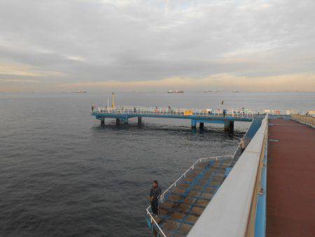 オリジナルメーカー海づり公園(市原市海づり施設) 釣果