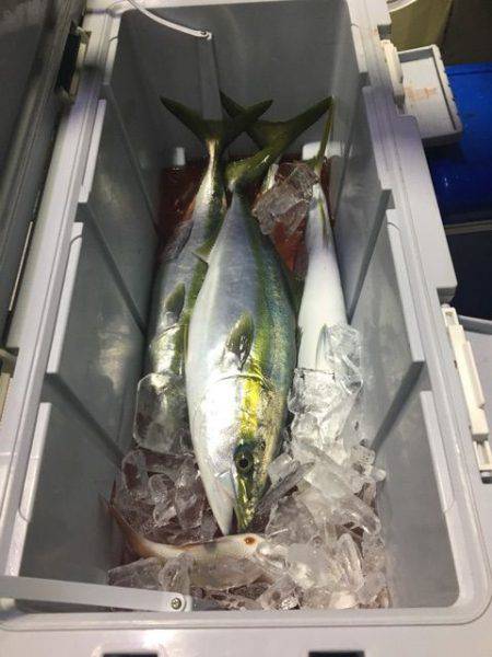 龍宮丸 釣果