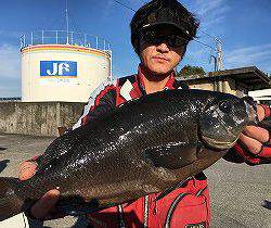 第八有漁丸 釣果