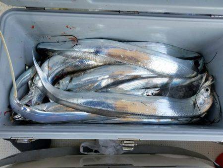 遊漁船　ニライカナイ 釣果