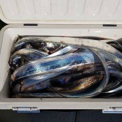 遊漁船 ニライカナイ 釣果