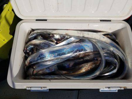 遊漁船 ニライカナイ 釣果