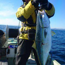 気仙沼　つり丸 釣果