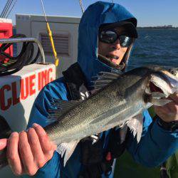 深川 吉野屋 釣果