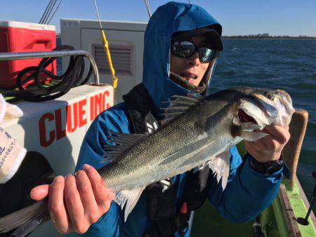 深川 吉野屋 釣果