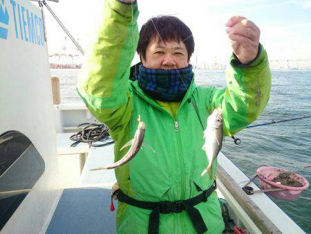 深川 吉野屋 釣果