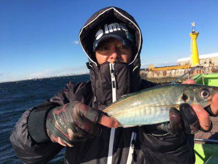 深川　吉野屋 釣果