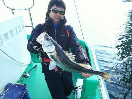 深川　吉野屋 釣果