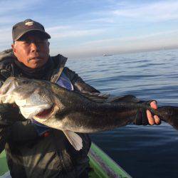 深川 吉野屋 釣果