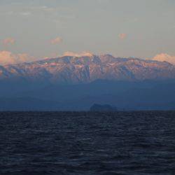 へいみつ丸 釣果