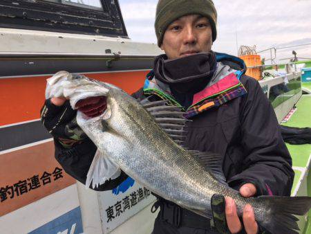 深川　吉野屋 釣果