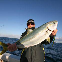 オーシャンズ　京都 釣果