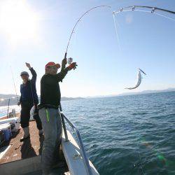 オーシャンズ　京都 釣果