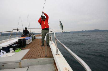オーシャンズ　京都 釣果
