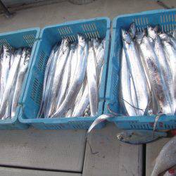 釣り船角田 釣果