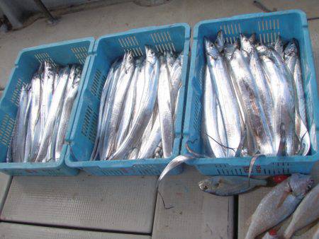 釣り船角田 釣果