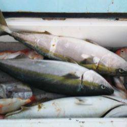 武勝丸（ぶしょうまる） 釣果