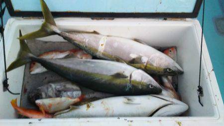 武勝丸（ぶしょうまる） 釣果