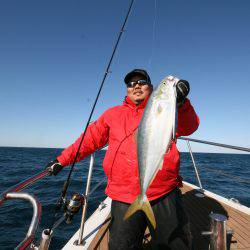 オーシャンズ　京都 釣果