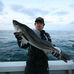 オーシャンズ　京都 釣果