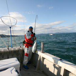 オーシャンズ　京都 釣果