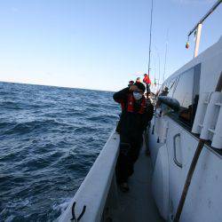 オーシャンズ　京都 釣果