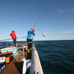 オーシャンズ　京都 釣果