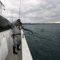 オーシャンズ　京都 釣果