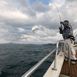 オーシャンズ　京都 釣果