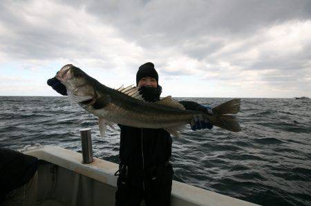 オーシャンズ　京都 釣果