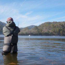 フィッシングレイクたかみや 釣果