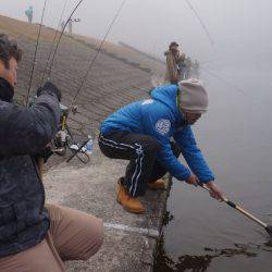フィッシングレイクたかみや 釣果
