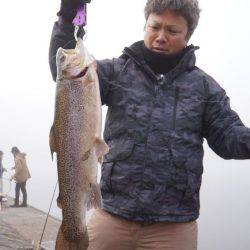 フィッシングレイクたかみや 釣果