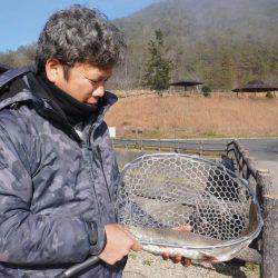 フィッシングレイクたかみや 釣果