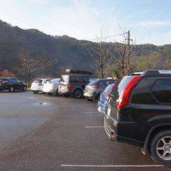 フィッシングレイクたかみや 釣果