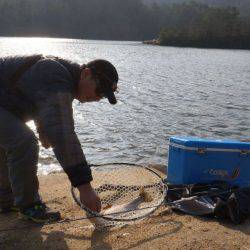 フィッシングレイクたかみや 釣果