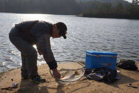フィッシングレイクたかみや 釣果